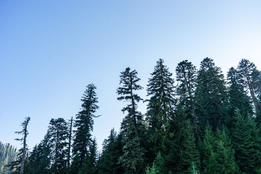 Mountain landscape in famous recreation zone of Guria region in western part of Georgia