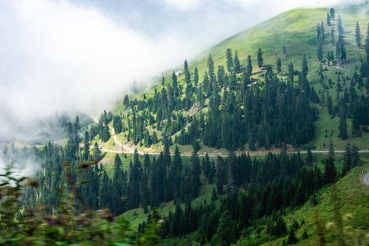 Mountain landscape in famous recreation zone of Guria region in western part of Georgia