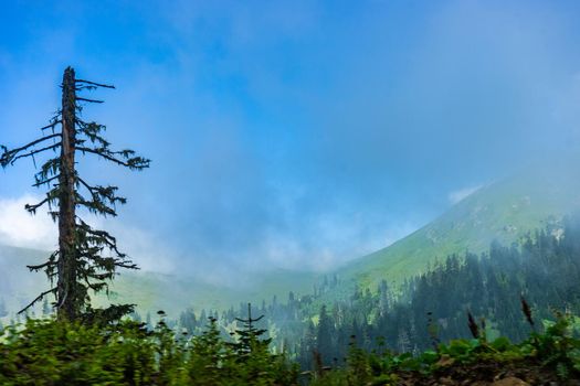 Mountain landscape in famous recreation zone of Guria region in western part of Georgia