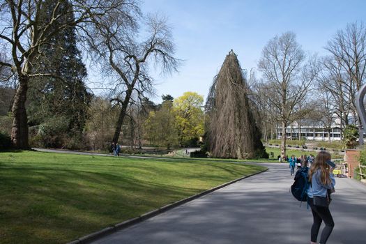 WUPPERTAL, GERMANY - April 11, 2022: people walking in green zoo in wuppertal in germany on a background of beautiful spring landscape. High quality photo