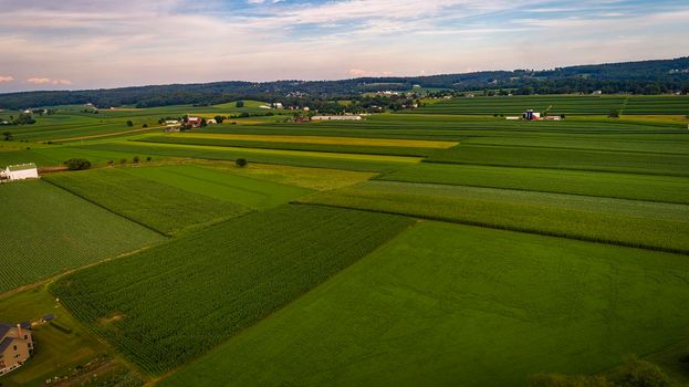 Aerial View of Farmlands With Barns and Silos, Looking Over the Hills and Fields of Rich Crops Growing on a Sunny Summer Day