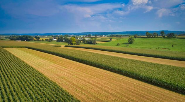 Drone View of Amish Countryside With Barns and Silos and Corn, Patch Work of Color and Corps, on Sunny Day.