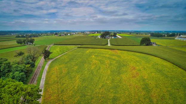 Drone View of Amish Countryside With Barns and Silos and Corn, Patch Work of Color and Corps, on Sunny Day.