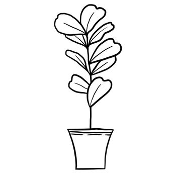 Fiddle leaf ficus in a pot in black line outline cartoon style. Coloring book houseplants flowers plant for interrior design in simple minimalist design, plant lady gift