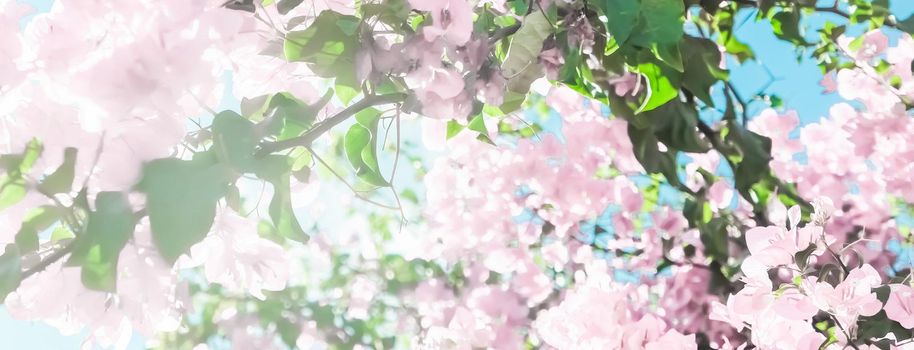 Blooming beauty, wedding invitation and nature concept - Pastel pink blooming flowers and blue sky in a dream garden, floral background