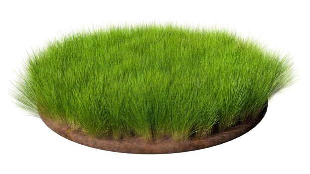 Round surface covered with green grass isolated on white background. 3D rendering illustration.