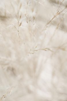 Beauty in nature, balanced lifestyle, environmental concept - Rustic autumn field