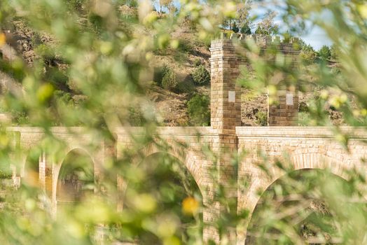 Green plants with blurred leaves growing against stone arched Roman bridge near rocky formation in sunshine in Spain