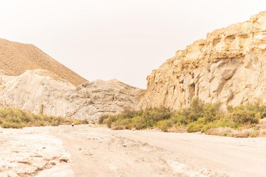 Unrecognizable tourist walking on sandy road against mountains with green shrubs on sunny day in Tabernas desert