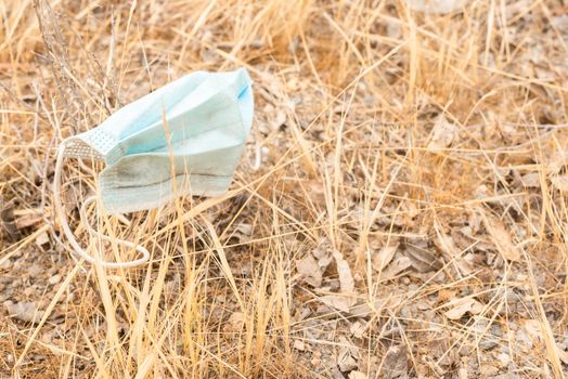 From above of protective mask on dry ground with yellow elongated plants against blurred background