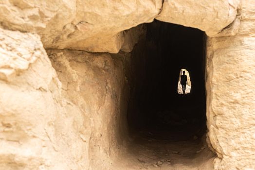 Silhouette of unrecognizable female hiker exploring natural dark tunnel through mountain in Tabernas desert