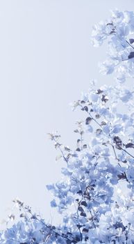 Flower background, spring nature and botanical beauty concept - Blue floral composition