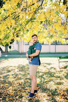 Dad with a baby in a sling stands under a tree in the park. High quality photo