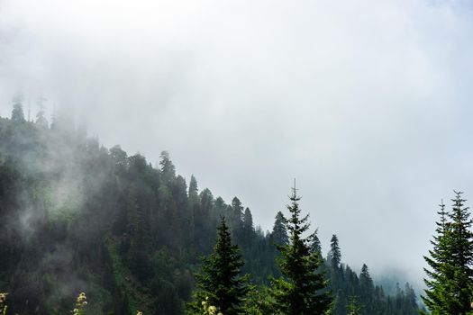 Mountain landscape in famous recreation zone of Guria region in western part of Georgia