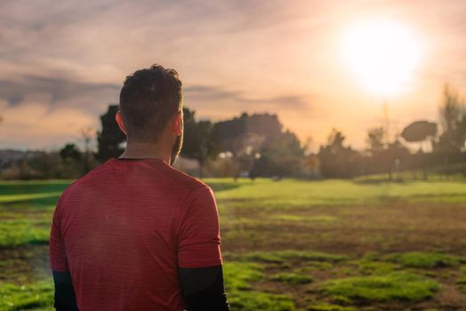 Back view of unrecognizable male runner in activewear standing in park and enjoying sundown during running training