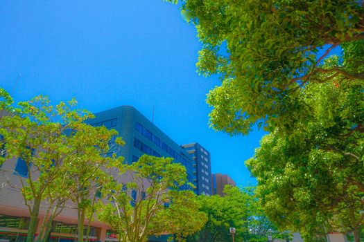 The city of Tama Center in early summer. Shooting Location: Tokyo metropolitan area