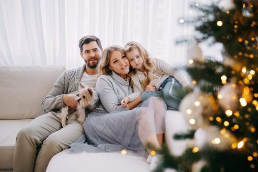 Happy family: mom, dad and pet. Family in a bright New Year's interior with a Christmas tree.