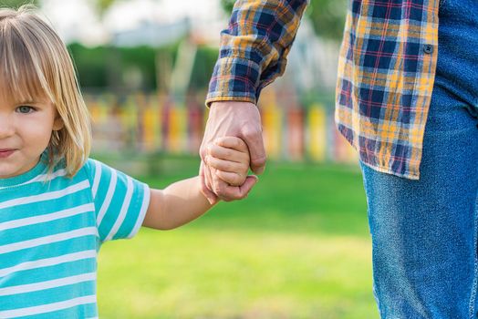 Cropped view of the holding hands of the little son and unrecognizable father in the park