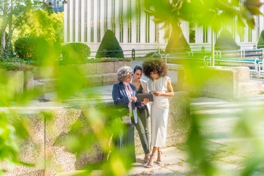 three businesswomen talking in the distance behind a curtain of leaves, horizontal picture