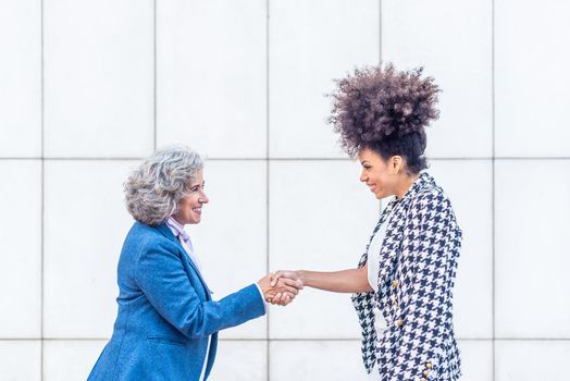 two businesswomen closing a deal by shaking hands, horizontal grid background