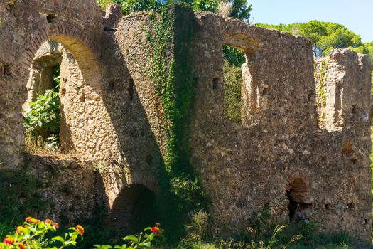 Ancient ruins overgrown with plants background