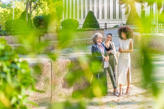 boss and two female employees chatting happily after work, fuzzy leaves in front