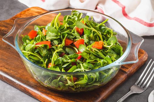 Purslane salad with tomatoes in a glass bowl. Healthy eating concept