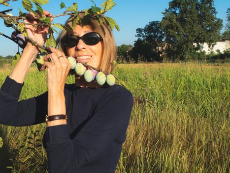 elegant lady picking plums and peaches in a farm during summer
