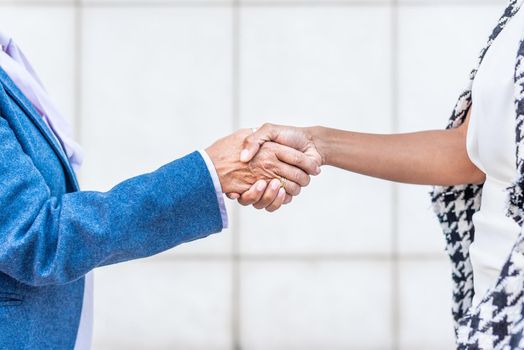 close-up of a handshake between two people of different ethnics, horizontal view