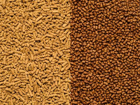 Two type of buckwheat tea grain texture background. Top view of healthy ku qiao or soba tea groats canvas background. Minimal flat lay tartary buckwheat seeds. Copy space. Two roasted ku qiao tea