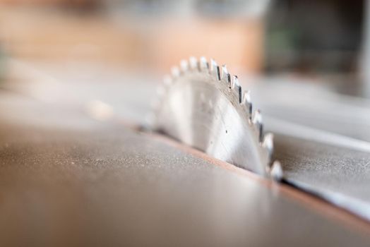 circular wood cutting disc with saw teeth, blurred background