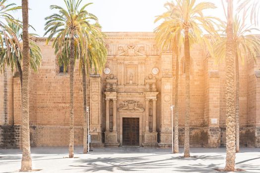Ancient stone Almeria cathedral of Incarnation with entrance door with columns and tall palms growing in territory in sunny day