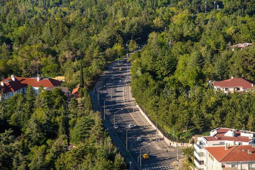 Top view of winding highway going through the forest at sunset