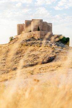 Vertical photo of a hill with a path and a romanesque castle on top and dry bush branches out of focus in foreground in Consuegra, Toledo, Spain
