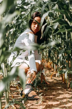 A brunette girl in a white dress in a cornfield. The concept of harvesting.