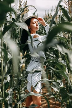 A brunette girl in a white dress in a cornfield. The concept of harvesting.