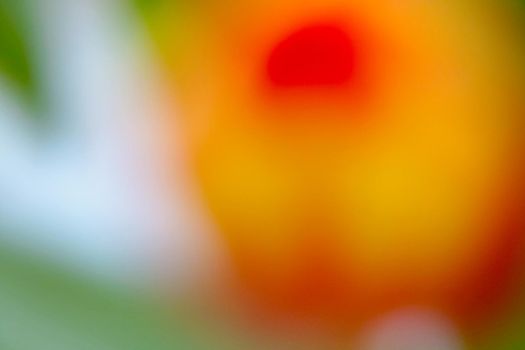 Blurred bright background of blooming flowers in the garden