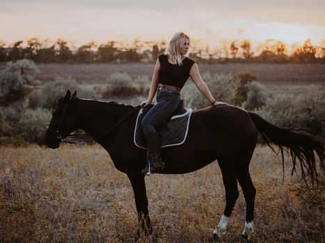 Pretty horsewoman sitting on horse on nature background. Concept of love, friendship, farm animals. High quality photo
