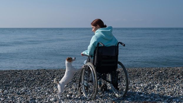 Caucasian woman sitting in a wheelchair with a dog on the seashore