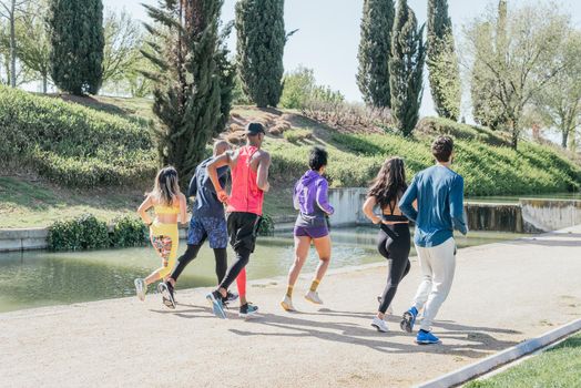 Group of runners training in a park. Rear view, back to camera. Happy and smiling.