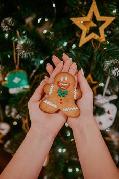 Woman holding in hands Christmas gingerbread man cookie on tree background. Holiday concept. High quality photo