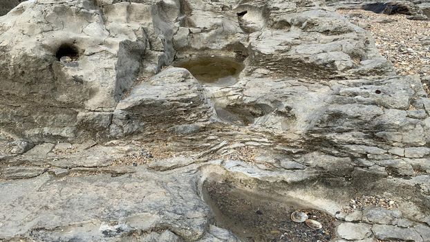 the texture of a stone turned by the sea in the sand on the sea beach