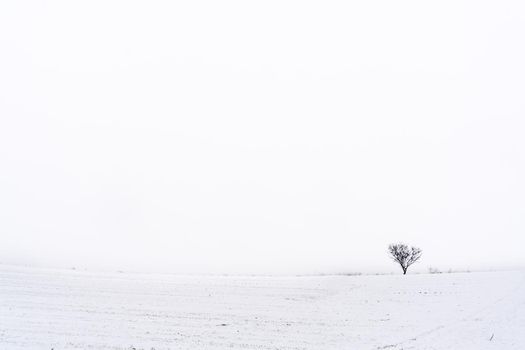 Minimalist snowy landscape. Madrid. Spain.