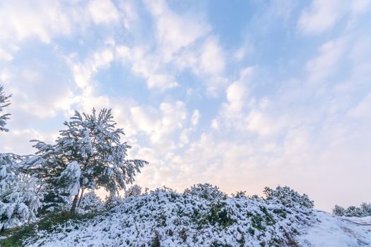 Snowy winter landscape. Madrid. Spain.