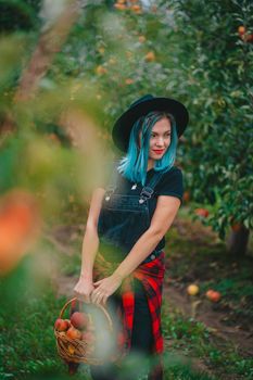 Pretty unusual woman with blue dyed hair walking alone between trees in apple garden at autumn season. Girl goes ahead away from camera. Organic, nature concept. High quality FullHD footage