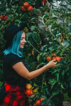 Blue haired woman picking up ripe red apple fruits from tree in green garden. Organic lifestyle, agriculture, gardener occupation. High quality photo