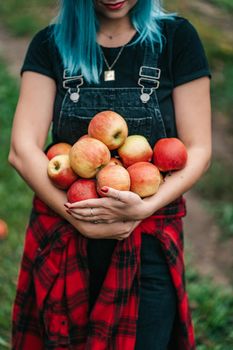 Blue haired woman picking up ripe red apple fruits in green garden. Organic lifestyle, agriculture, gardener occupation. High quality photo