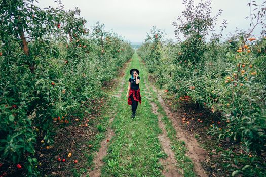 Pretty unusual woman with blue dyed hair walking alone between trees in apple garden at autumn season. Girl goes ahead away from camera. Organic, nature concept. High quality FullHD footage