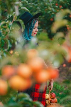 Pretty unusual woman with blue dyed hair walking alone between trees in apple garden at autumn season. Girl goes ahead away from camera. Organic, nature concept. High quality FullHD footage