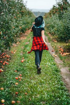 Pretty unusual woman with blue dyed hair walking alone between trees in apple garden at autumn season. Girl goes ahead away from camera. Organic, nature concept. High quality FullHD footage